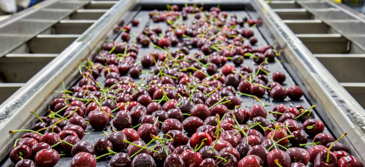 Industrie Alimentari ed Ittiche